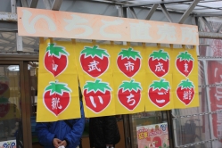 山武成東観光苺組合の、ま新しいのれんです