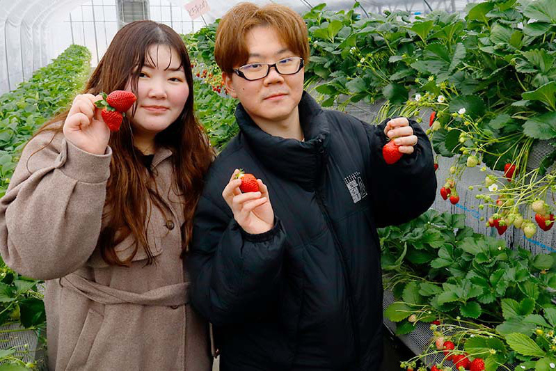 苺狩りはほっぺたが緩みますね