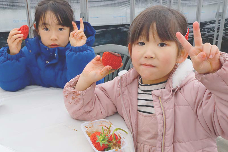 持ち込みでチョコ苺美味しそう