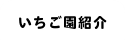 いちご園紹介