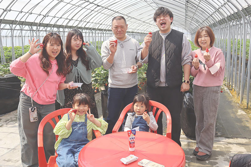 あきらいちご園苺狩り4月