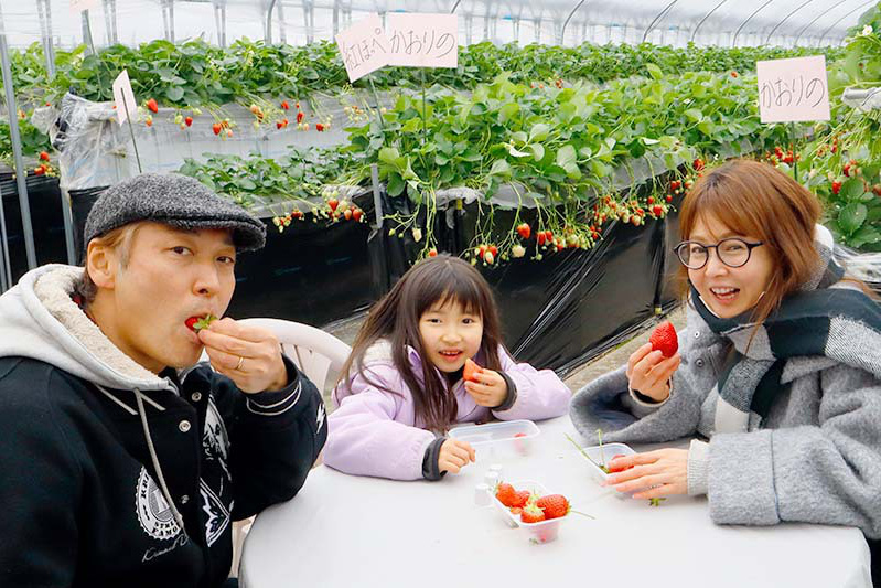 テーブルでいろんな品種を食べ比べ