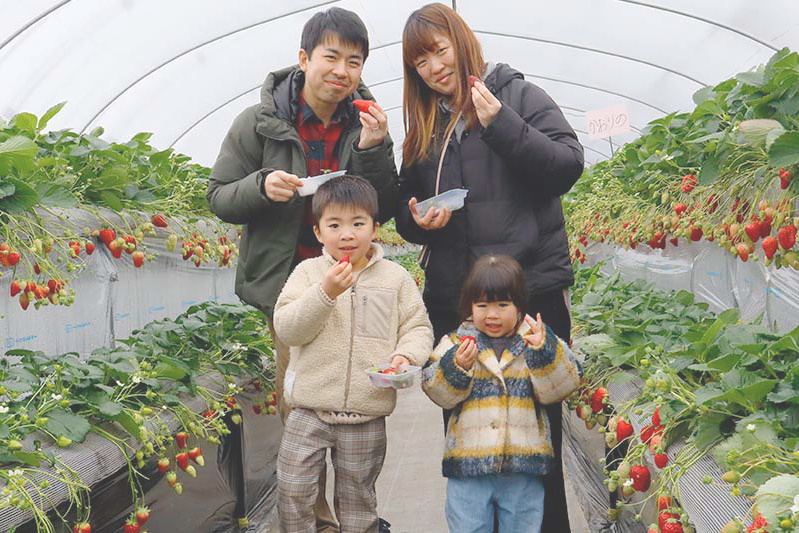 美味しい苺に囲まれて楽しいね