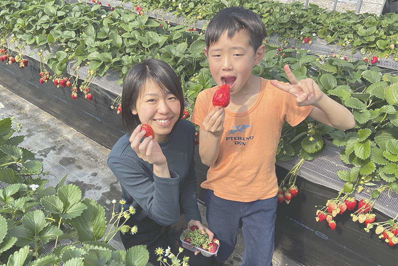 持ち込みでチョコ苺美味しそう