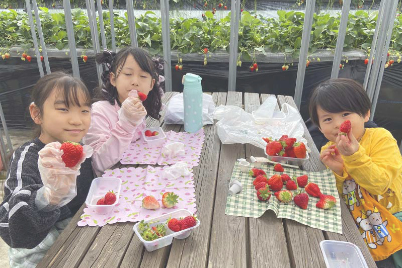 苺ハウスにも雪が積もりはじめました