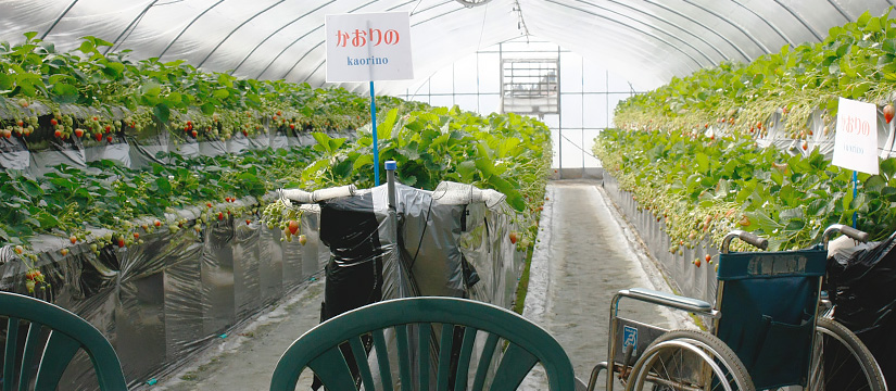 ◎車椅子やベビーカーの方も楽しめる幅広い通路