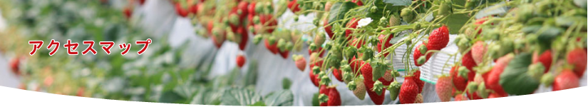 アクセスマップ