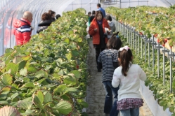 クラブで毎年ご来園いただいてます