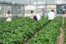 グループで来られたお客様