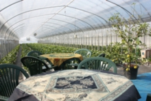 土壙栽培ハウスの休憩テーブル