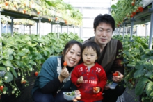 苺みたいな赤い洋服がかわいいですね