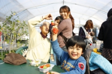 大きい苺を採ったね