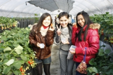 タイの3人グループも楽しそう