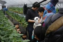 お嬢さんがTVに映っていましたね