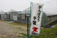 がんばろう千葉！当園も頑張っています