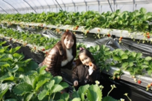 早速ご来園ありがとうございます