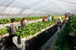 午前中の混み具合はこれ位でした