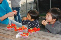 パパがヘタを取ってくれました