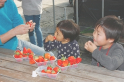 パパがヘタを取ってくれました