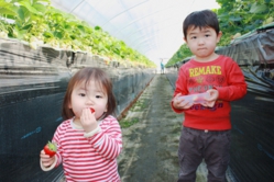 また食べに来てくださいね