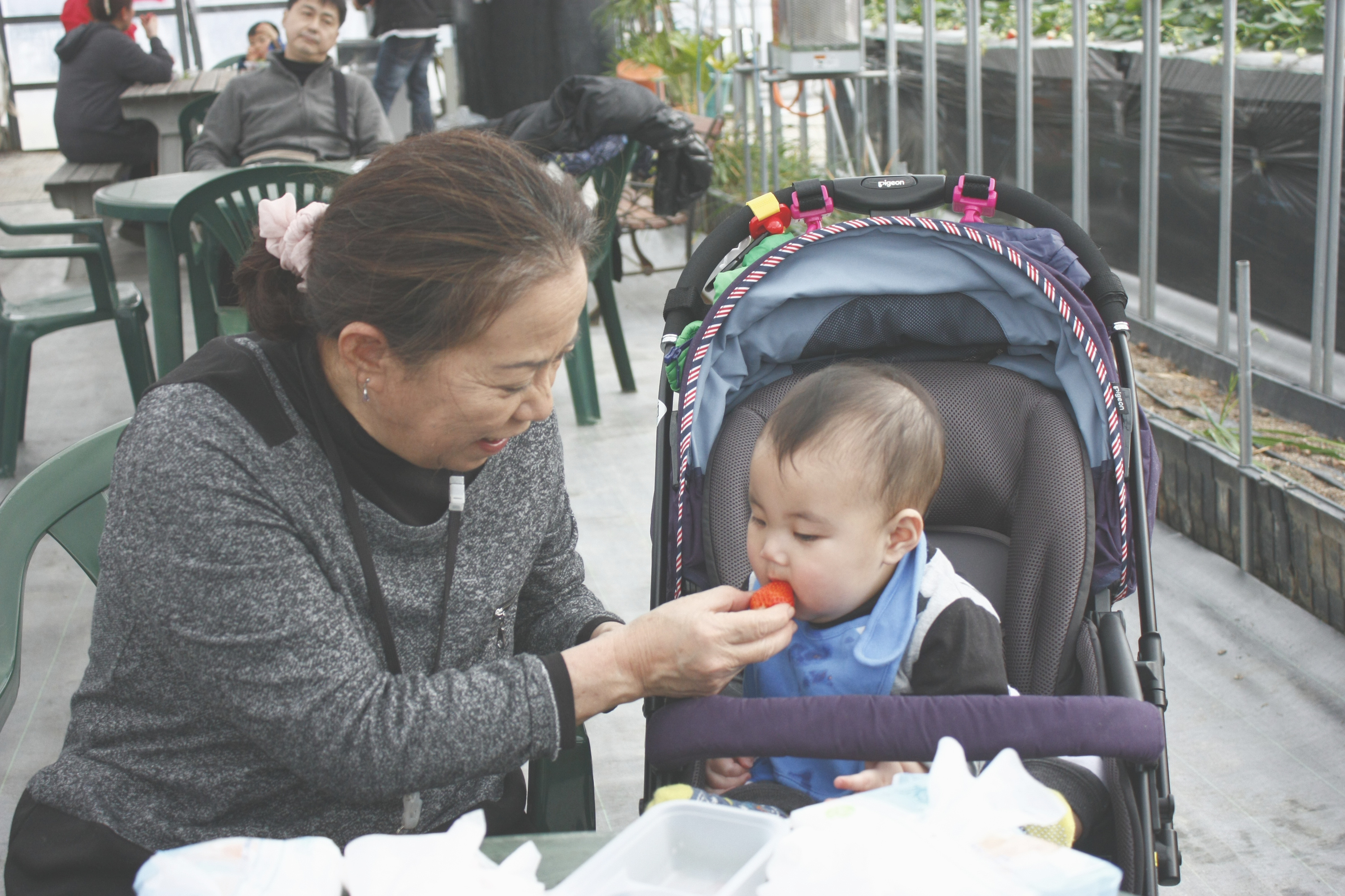 べにほっぺがたくさん出来ています