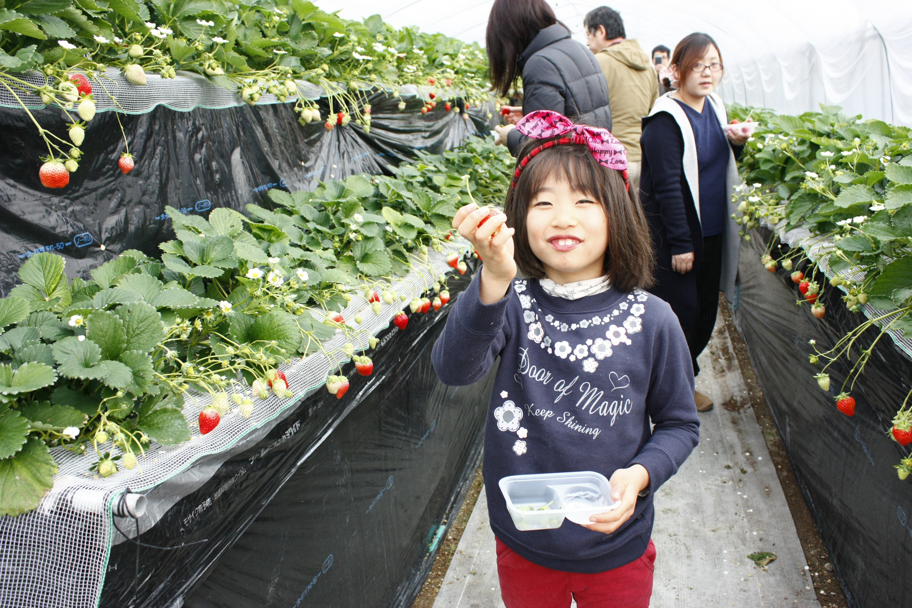 また食べに来てくださいね