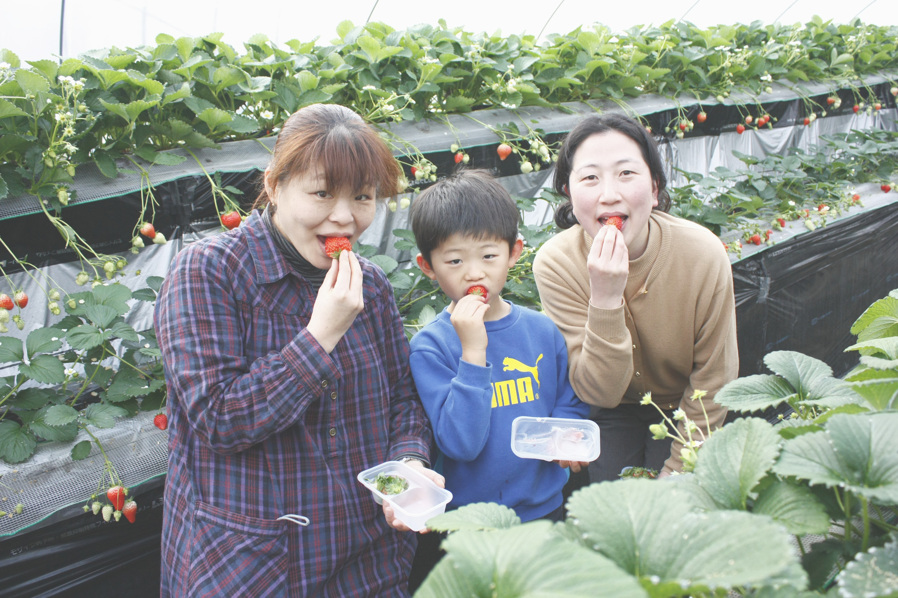 仲良し家族でイェーイ