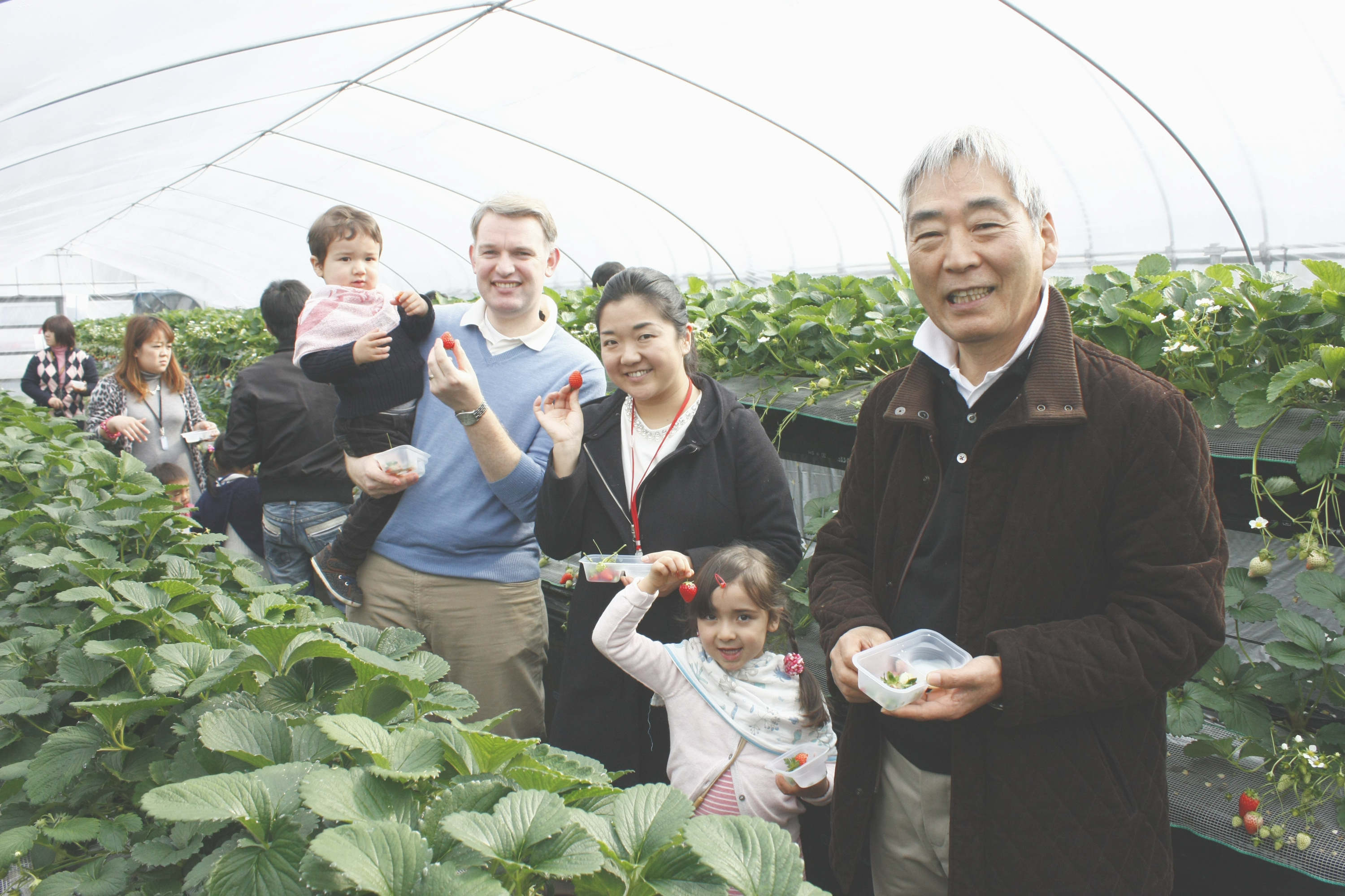 パパがヘタを取ってくれました