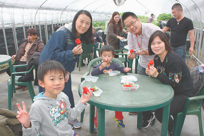 べにほっぺがたくさん出来ています