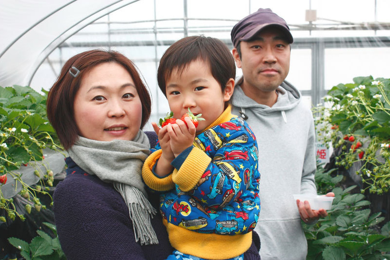 べにほっぺがたくさん出来ています