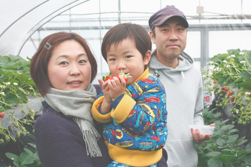 べにほっぺがたくさん出来ています