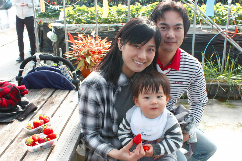 べにほっぺがたくさん出来ています