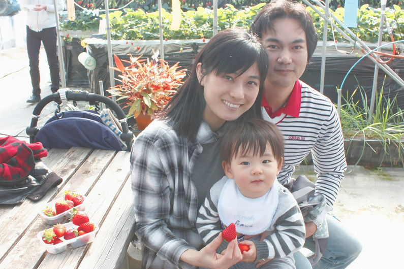 べにほっぺがたくさん出来ています