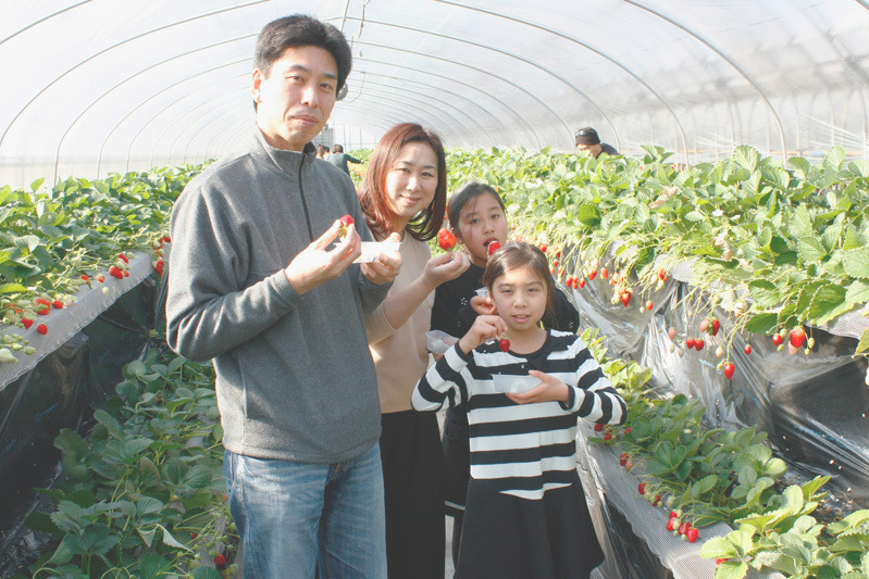 開園直後は良い実がたくさん