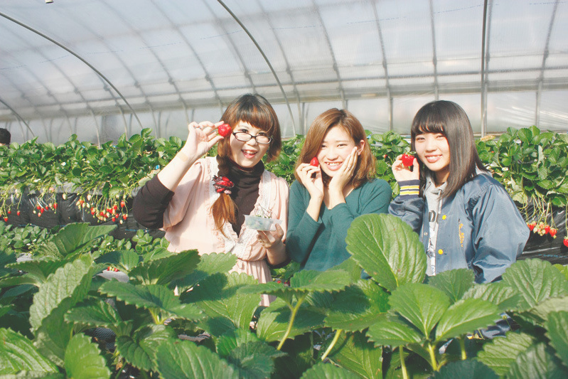 おいしくて笑顔がこぼれますね