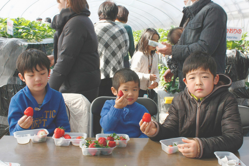 味の違いはわかるかな？