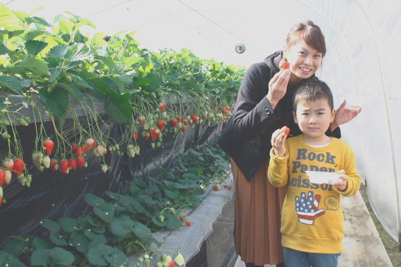 日陰の通路も狙い目だよ