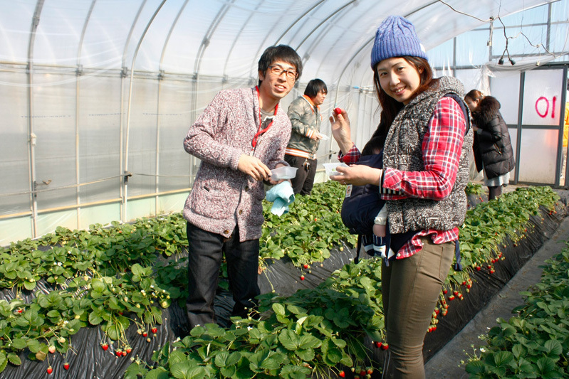 土耕の黒苺はいかがでしたか