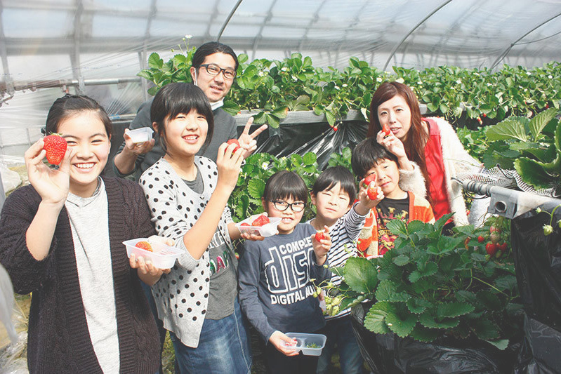 べにほっぺがたくさん出来ています