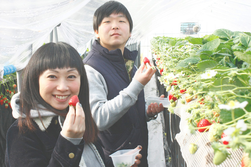 おいしい黒苺ゲットですね