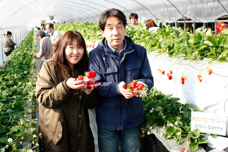 摘んでからベンチで食べるのもいいね