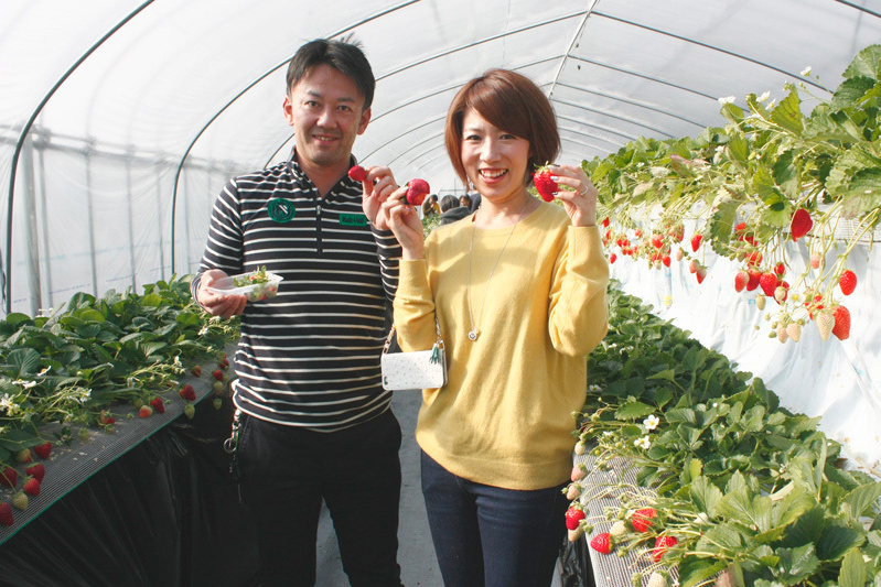 おいしい苺をSNSにアップよろしく