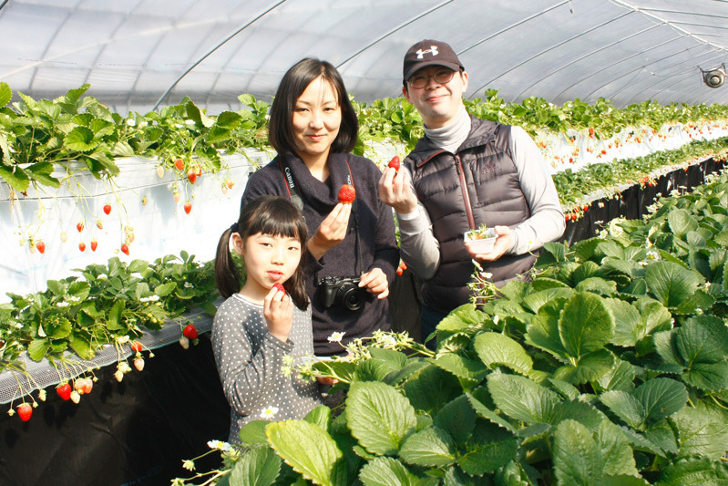 全部の品種を食べられましたか？