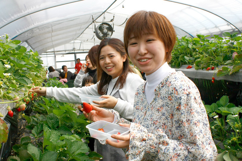 おいしい黒苺ゲットですね