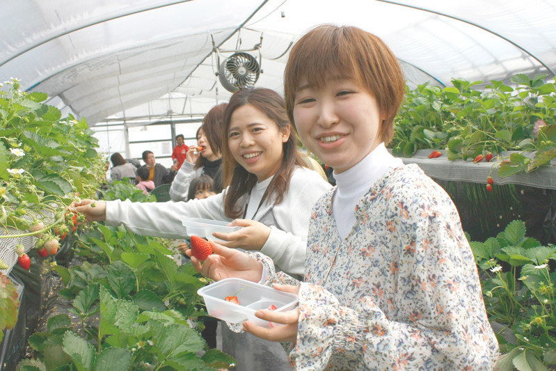 おいしい黒苺ゲットですね