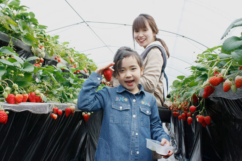 人気の黒苺は早めに無くなるよ