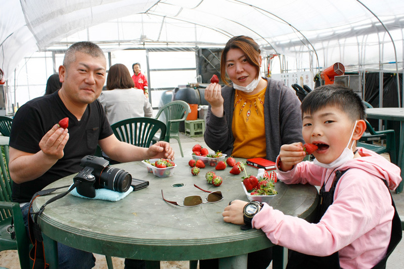 摘んでからベンチで食べるのもいいね