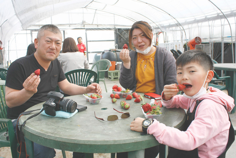 摘んでからベンチで食べるのもいいね