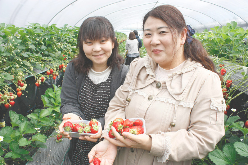 全部の品種を食べられましたか？