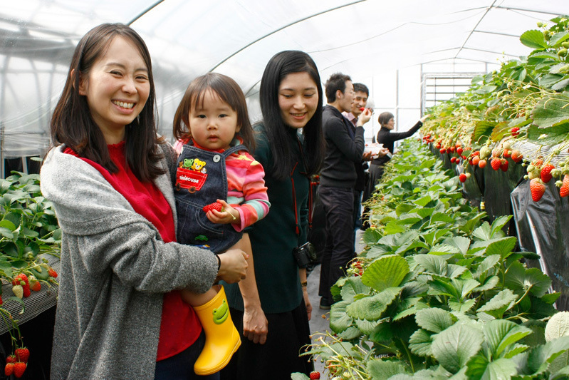 全部の品種を食べられましたか？